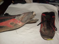 Mit diesen Schuhen schickte Hausmutter Katrin Jünemann Timo am 25.05.2007 nach Hause